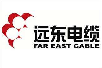 鎮(zhèn)江遠(yuǎn)東電線(xiàn)